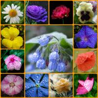 ������ ����� . ������ ��������� � ����� ������