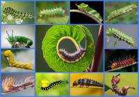 ������ ����� . ������ ��������� � ����� ������