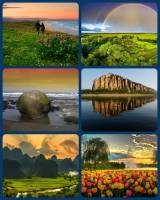 ������ ����