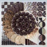 ������ ����